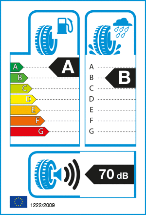 etykieta oponiarska dla Bridgestone TURANZA T005 XL * 205/55 R17 95W