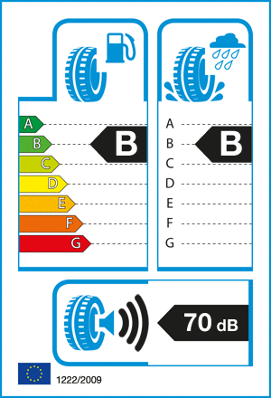 etykieta oponiarska dla Bridgestone ECOPIA EP150 195/55 R16 87V