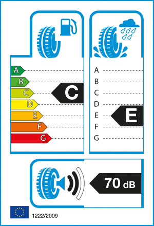 etykieta oponiarska dla Bridgestone ER300A Ecopia RFT * 205/60 R16 92W