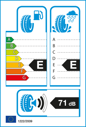 etykieta oponiarska dla Bridgestone Turanza ER300 XL 205/50 R17 93V