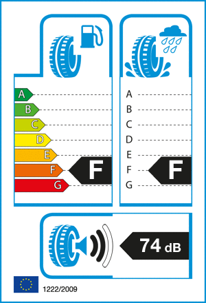 etykieta oponiarska dla Cooper Cobra Radial G/T RWL 295/50 R15 105S